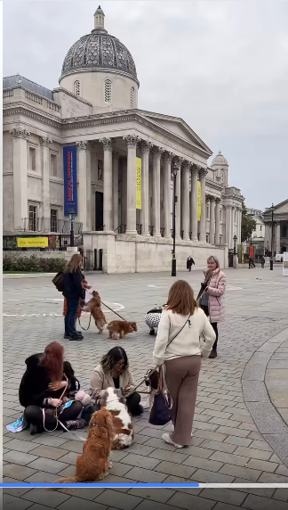 Richard David On 𝕏 tweet media