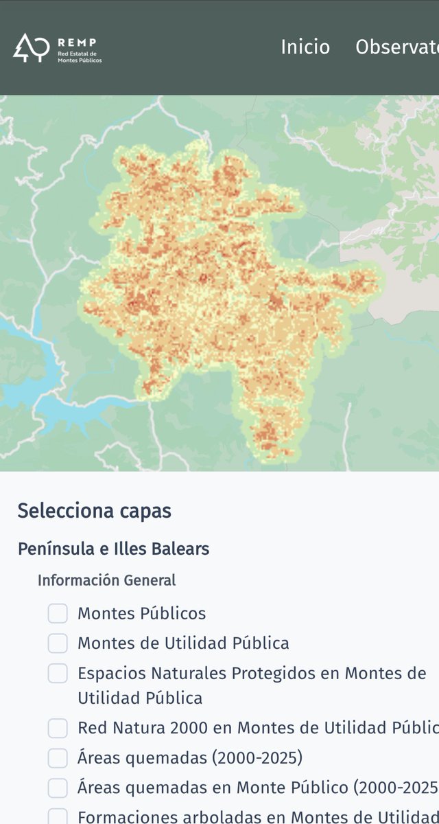 educación forestal🇪🇺 tweet media