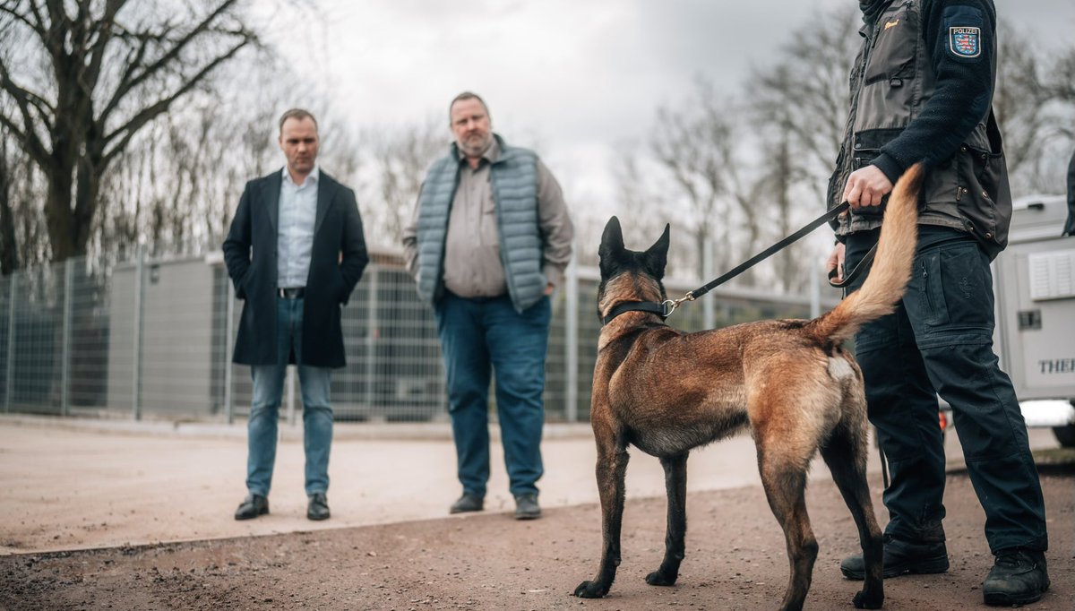 Daniel Haseloff tweet media