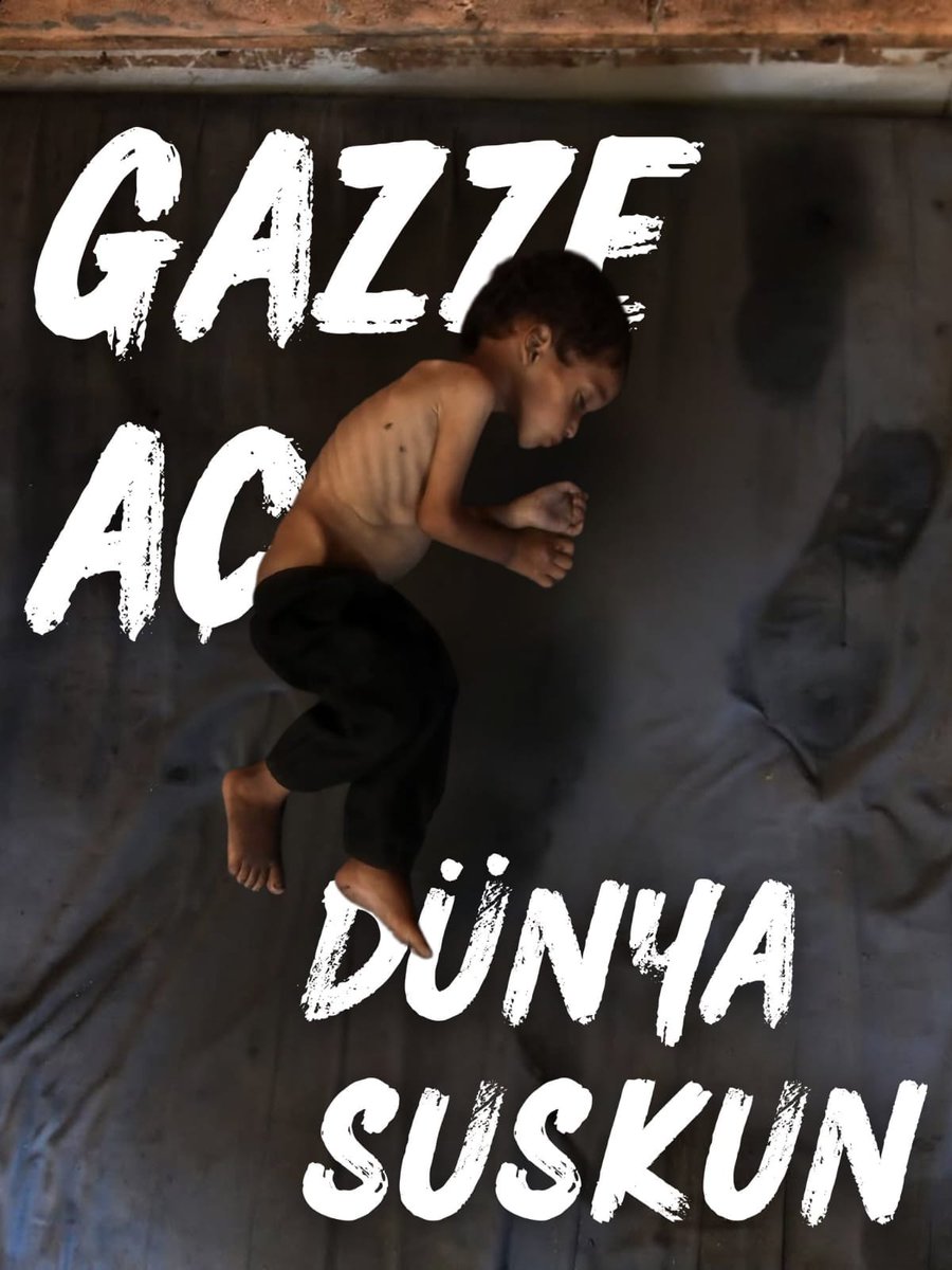 Hür Aktivist 🇹🇷🇵🇸 tweet media