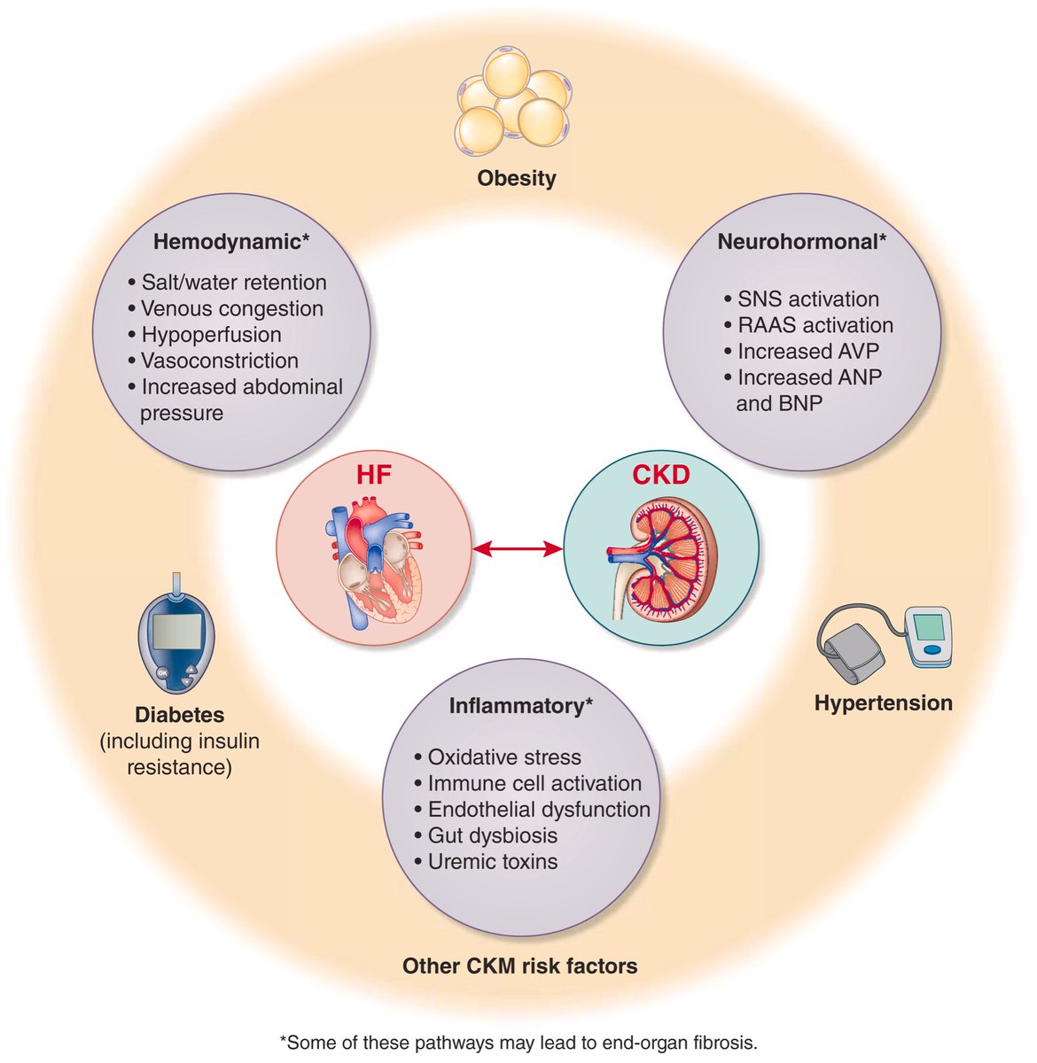 Ahmed Bennis MD 🫀 tweet media