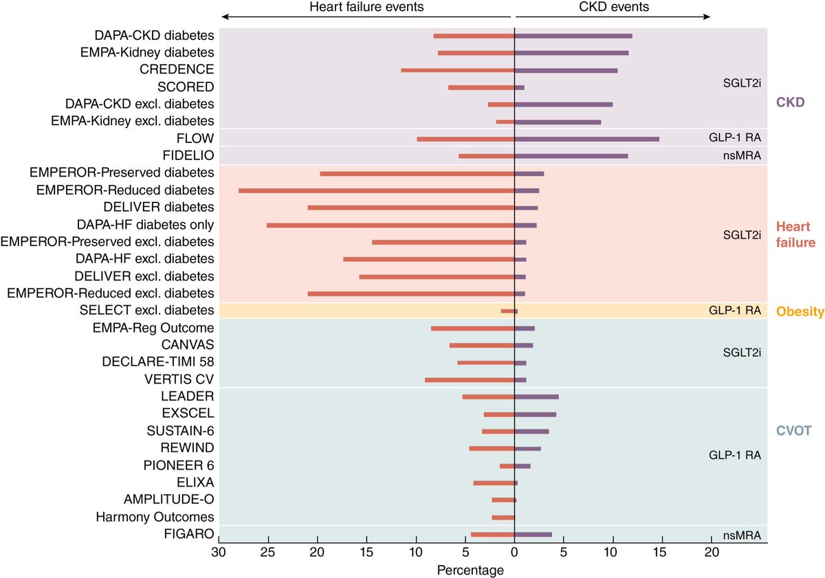 Ahmed Bennis MD 🫀 tweet media