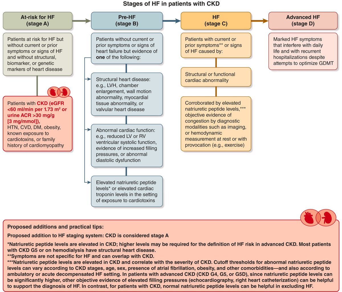 Ahmed Bennis MD 🫀 tweet media