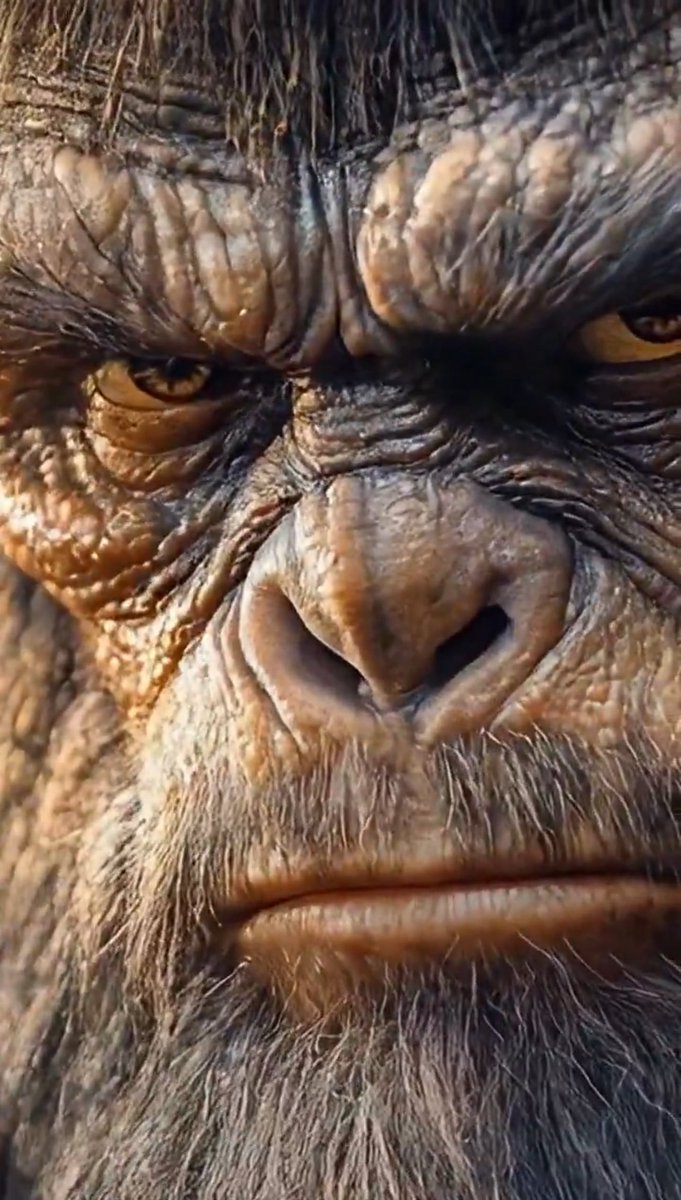 THE Rev. Quantum Bigfoot ♿️ #FLTG OG Anti-RGB OAP tweet media