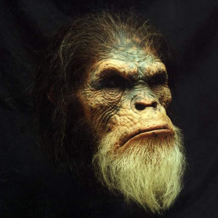 THE Rev. Quantum Bigfoot ♿️ #FLTG OG Anti-RGB OAP tweet media