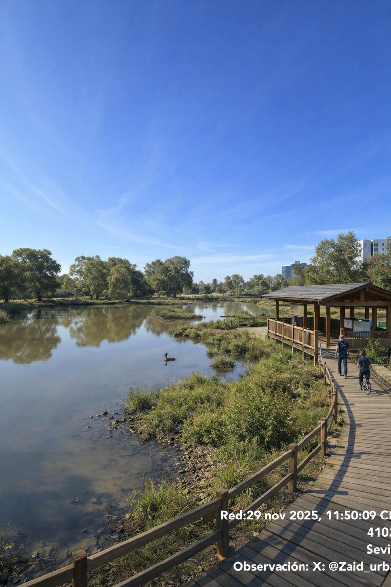 Alejandro Diaz tweet media