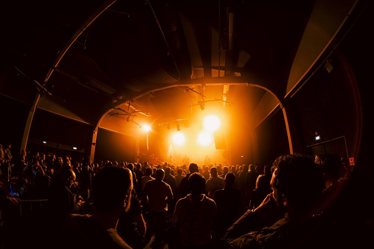 trust a fox tweet media