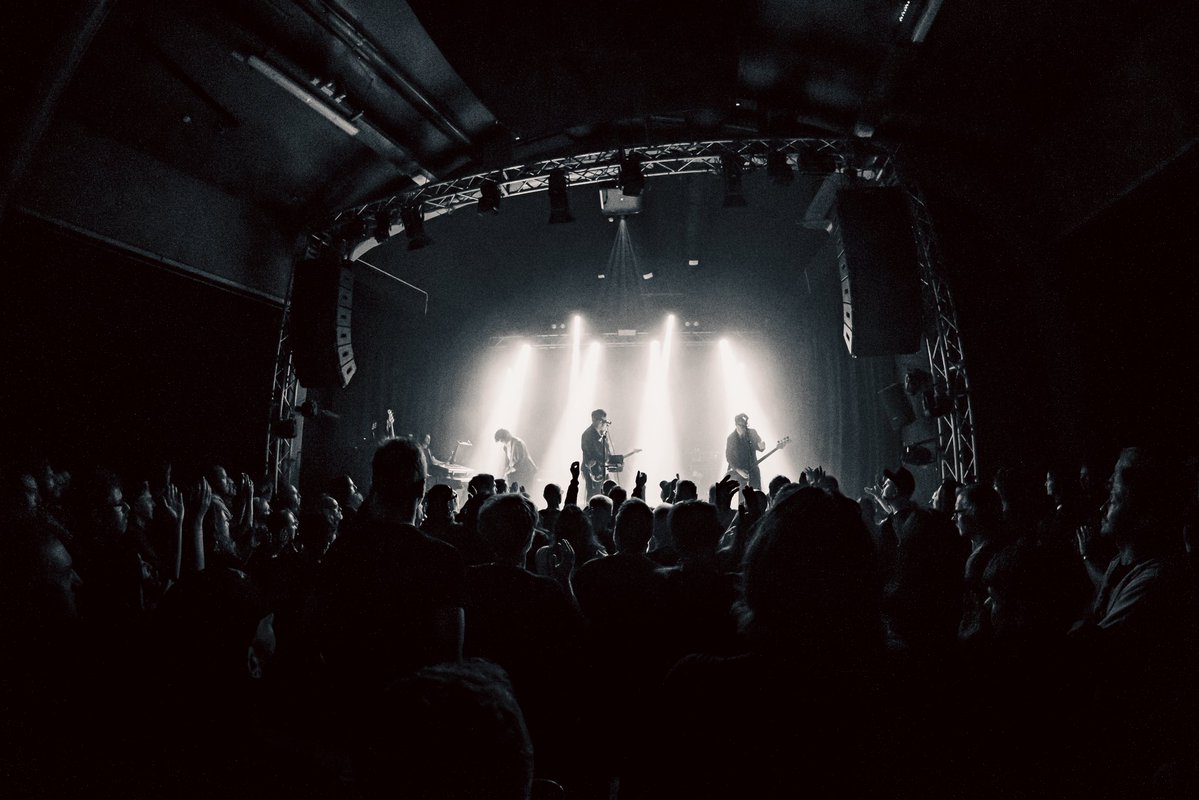 trust a fox tweet media