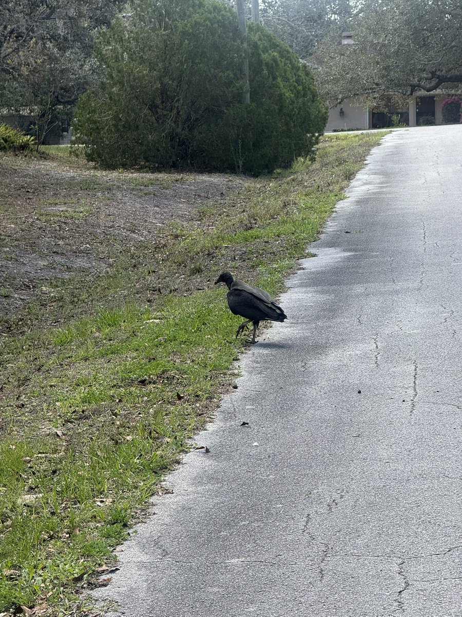 🇺🇸 Dave 🇺🇸 tweet media