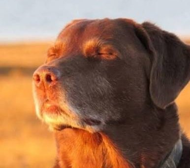 barb 🐸 comms OPEN tweet media