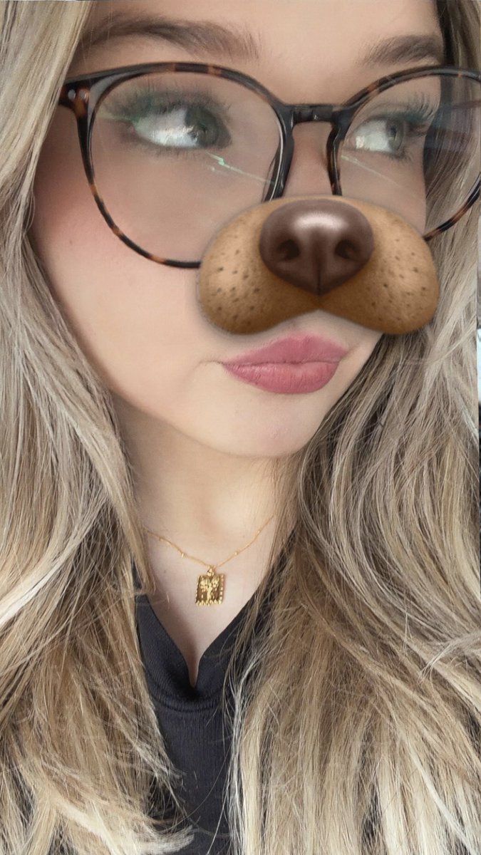 CERTIFIED TURTLE tweet media