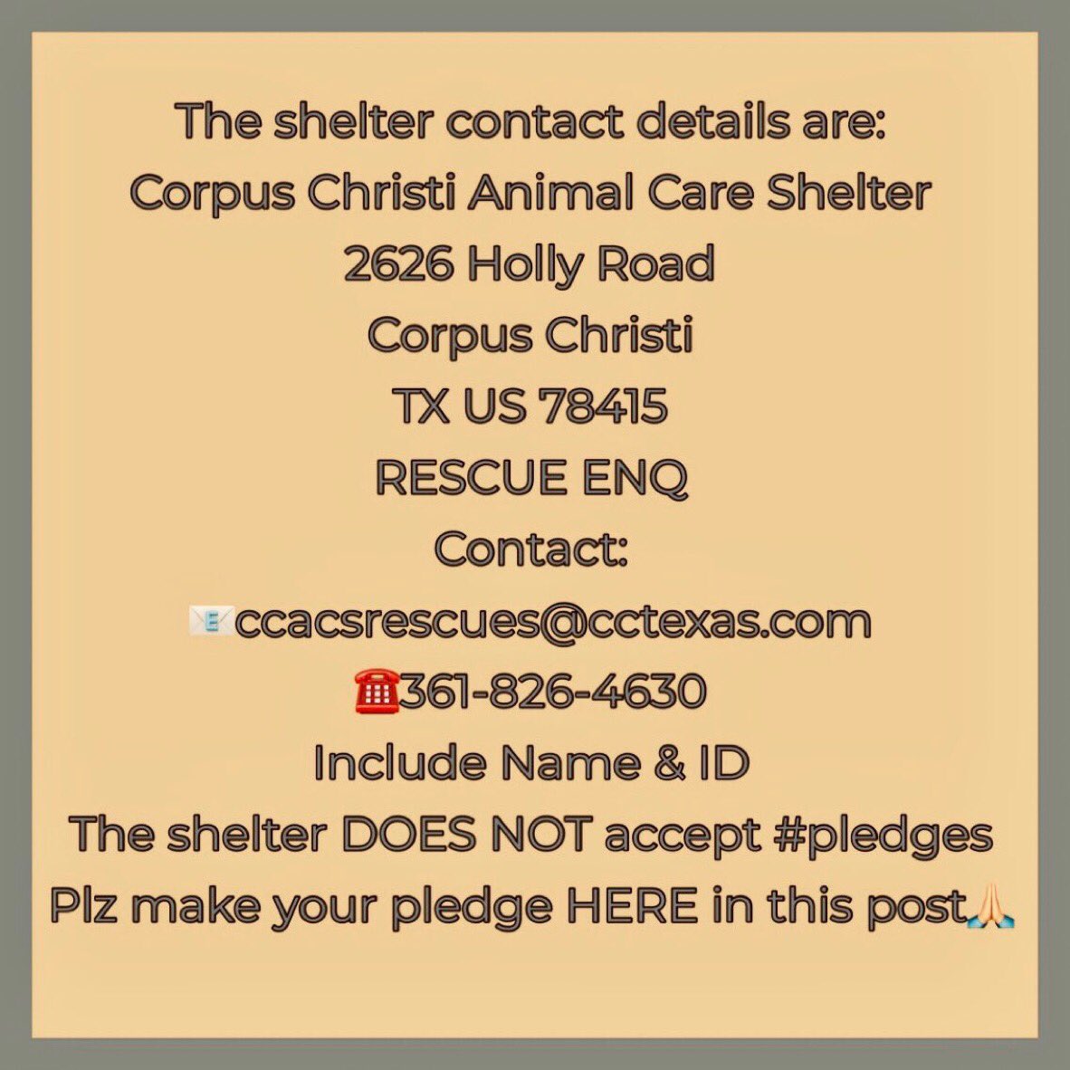 SamfromSpain♥️🐕🦮🐈‍⬛🐈 tweet media