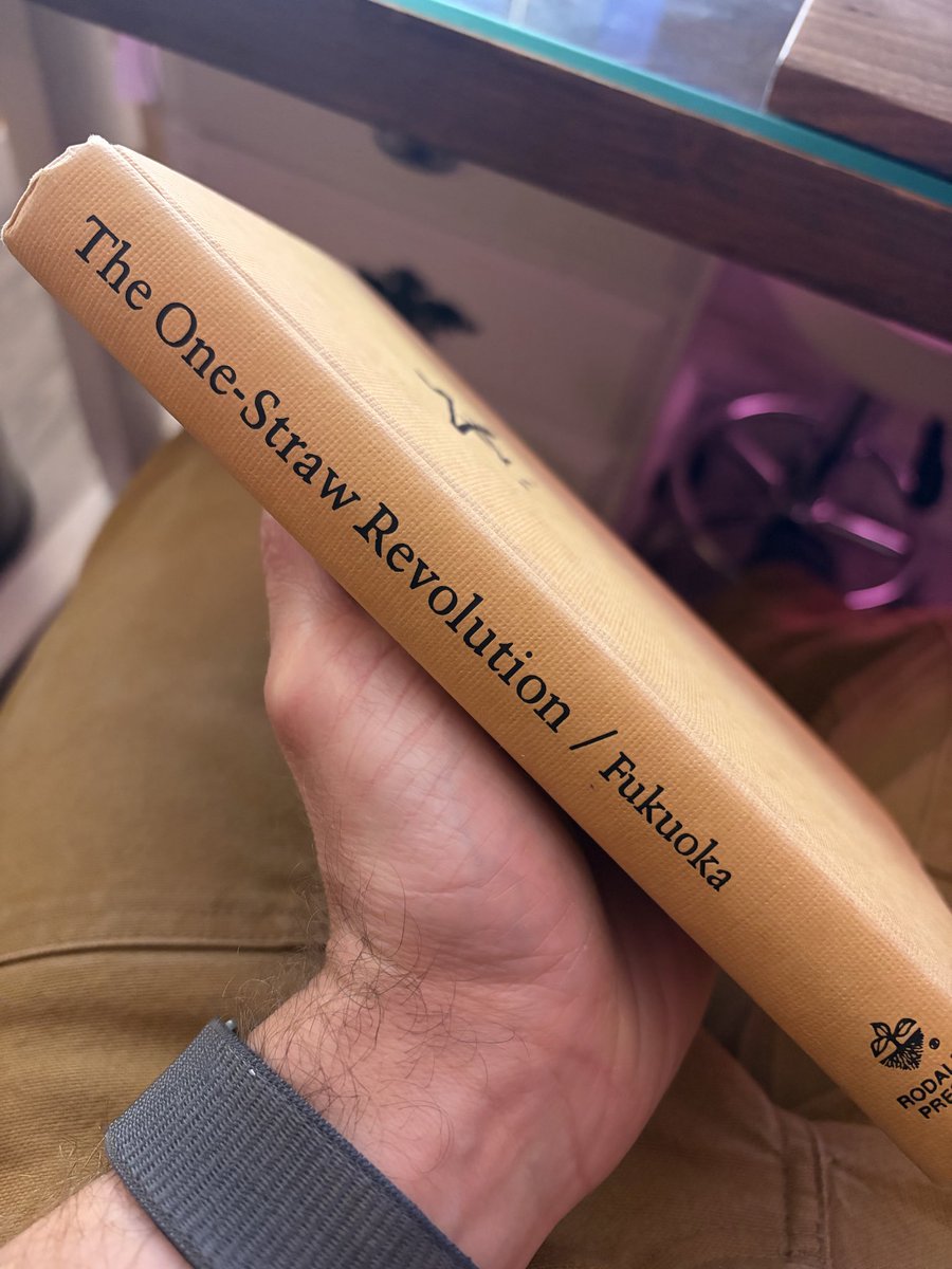 Below The Bramble tweet media