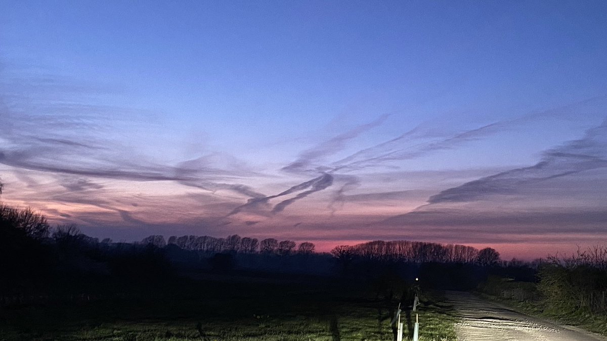 Truth Pixie tweet media