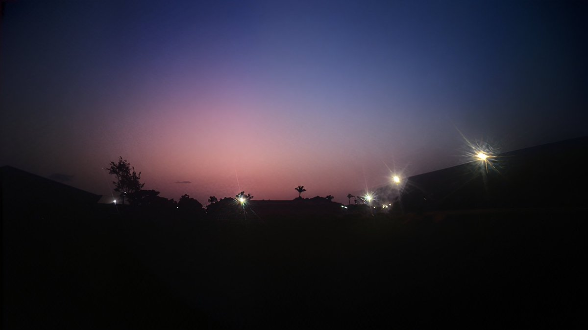 MICHДΞL 𓆝 𓆞 𓆝 tweet media