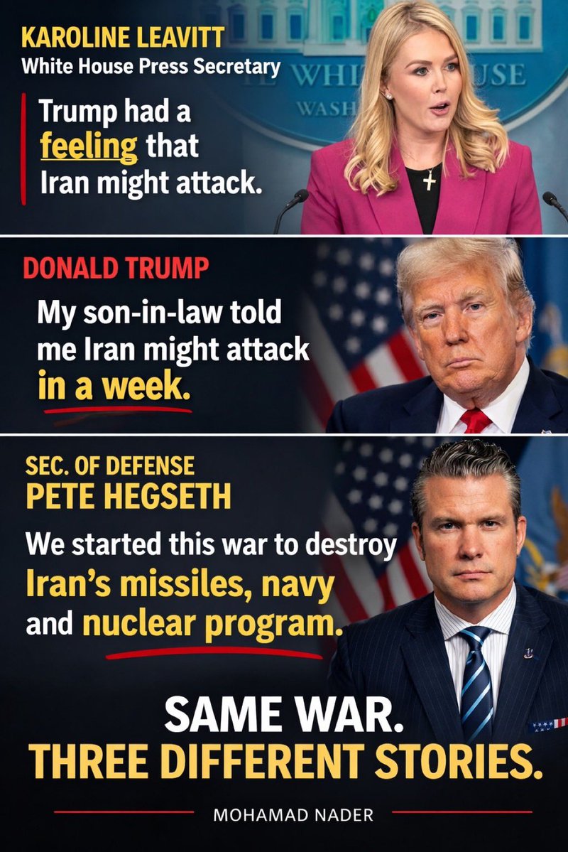 Dr. Karen Lancendorfer tweet media