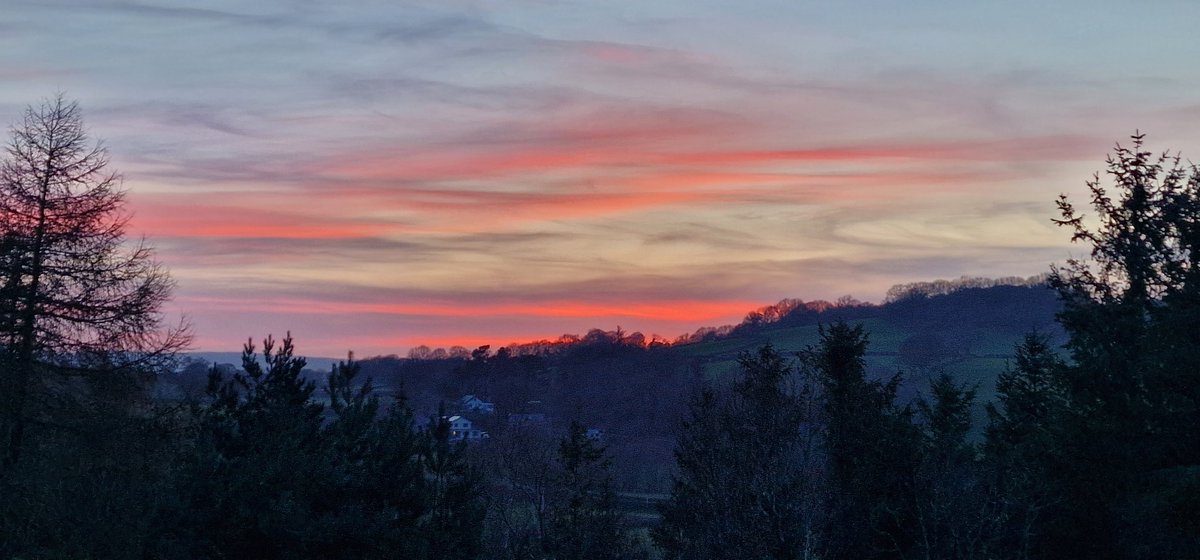 CraigHughesUpholstery tweet media