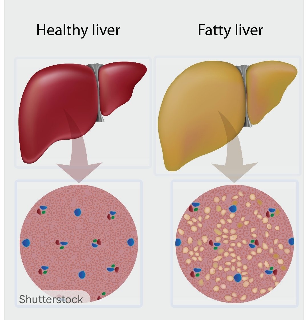 Dr Champion tweet media