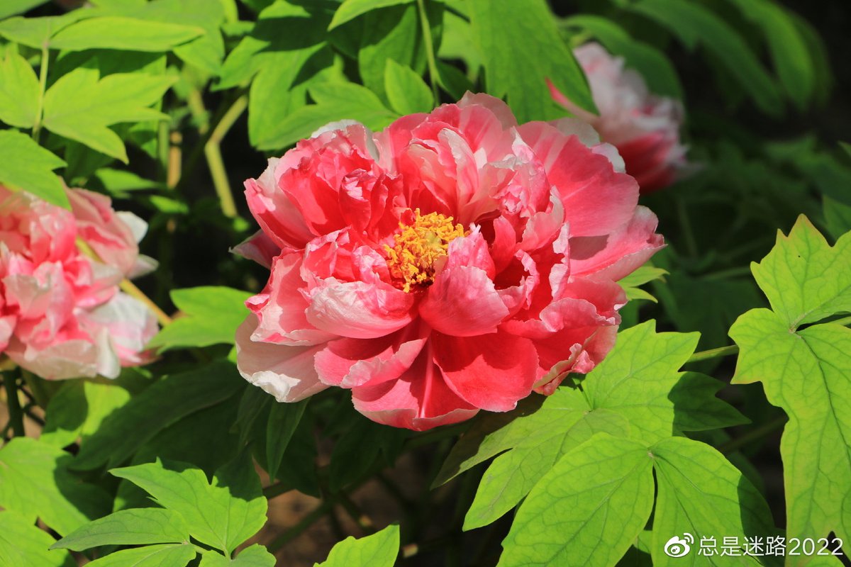 Casey Slucher tweet media