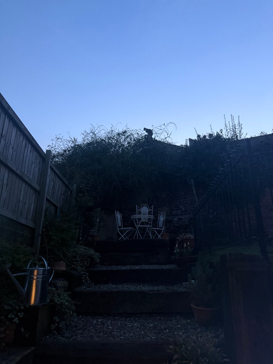 Anna Jewes tweet media