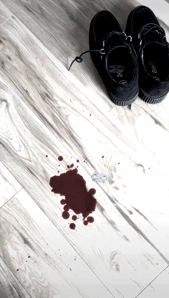 do hashtags even work #shtwt #shedtwt