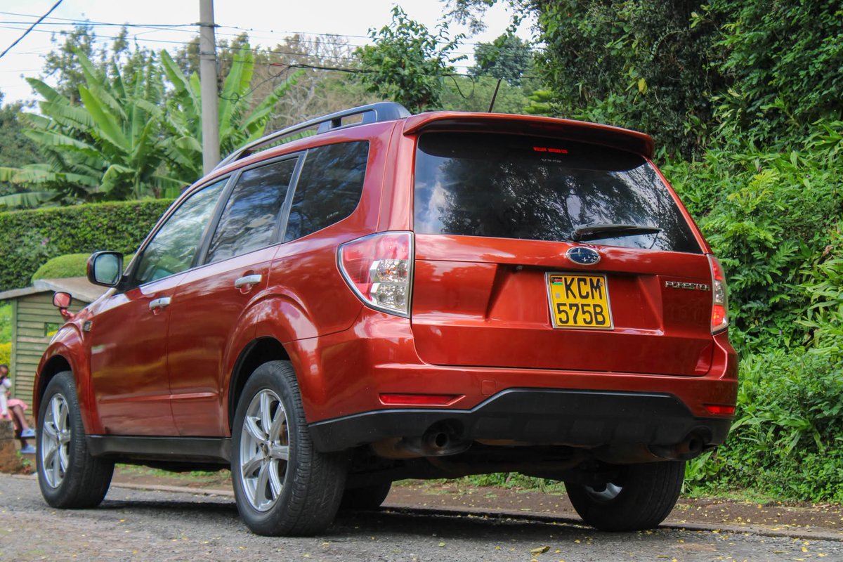 Gitz  tweet media