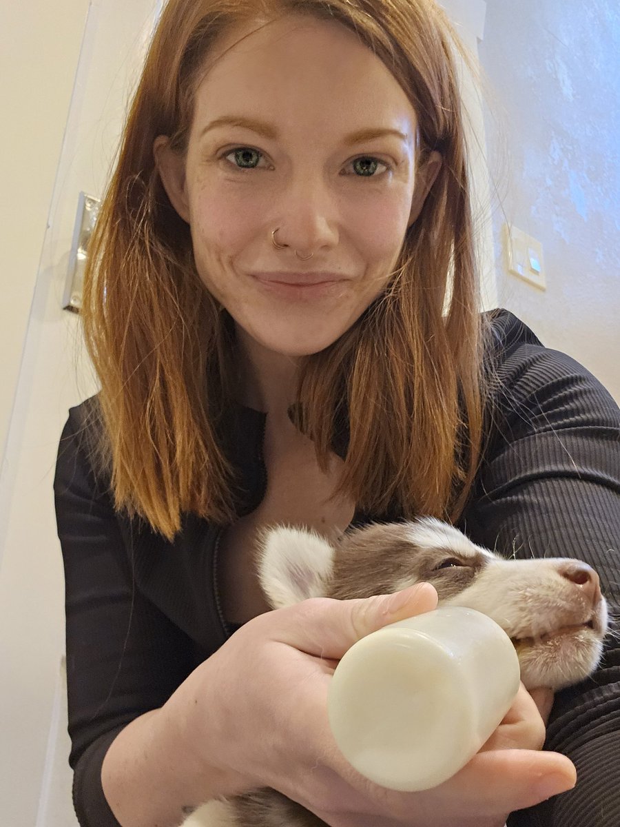 Discount🍉Emma🍉Stone (Taylor's Version) tweet media