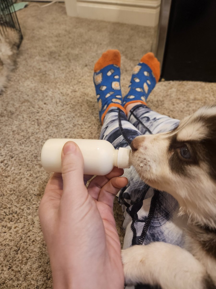 Discount🍉Emma🍉Stone (Taylor's Version) tweet media