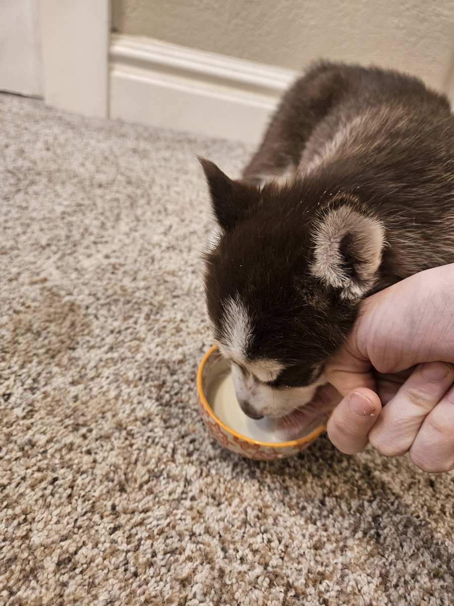 Discount🍉Emma🍉Stone (Taylor's Version) tweet media