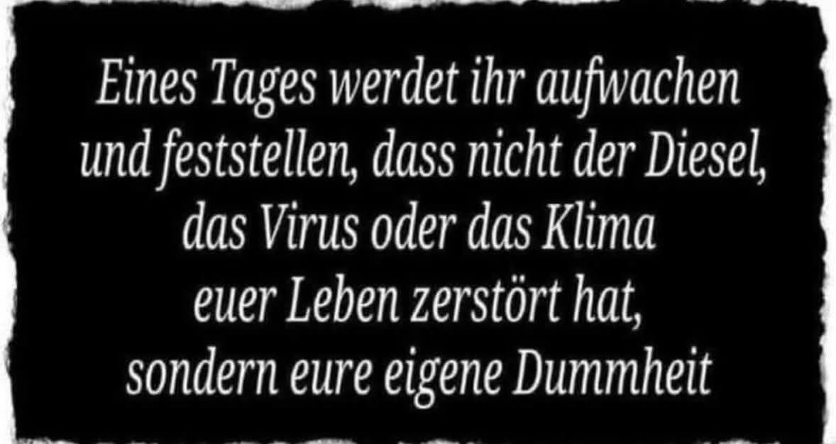 Riedelmaa tweet media