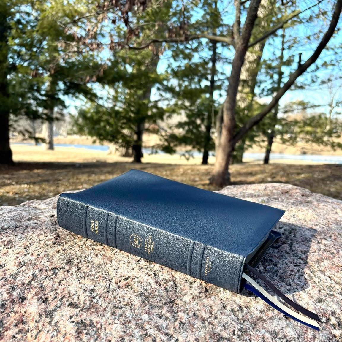 Legacy Standard Bible tweet media