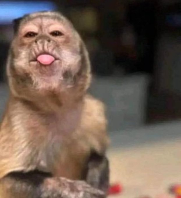 Ntombi N tweet media