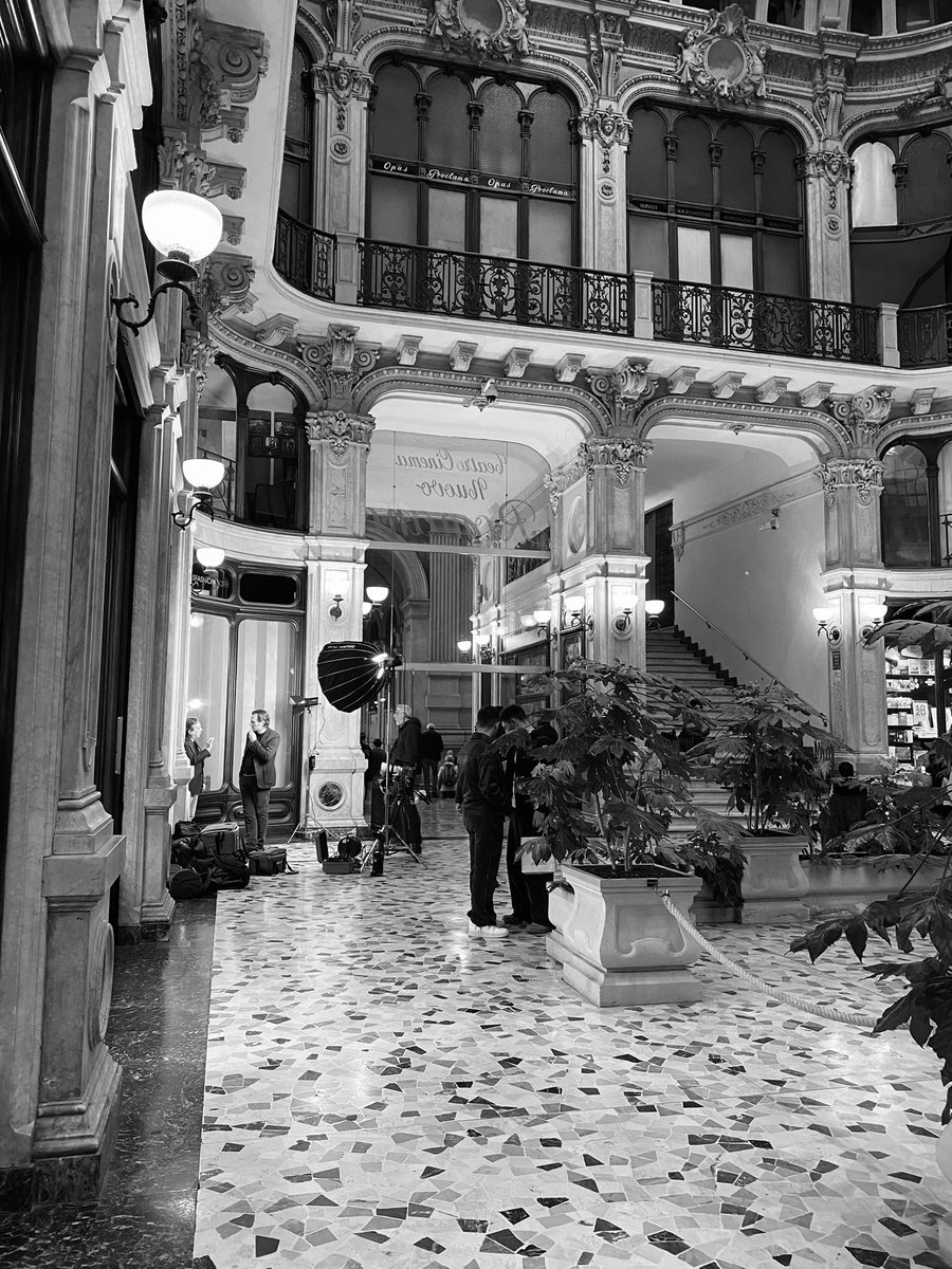 marysocontrary tweet media