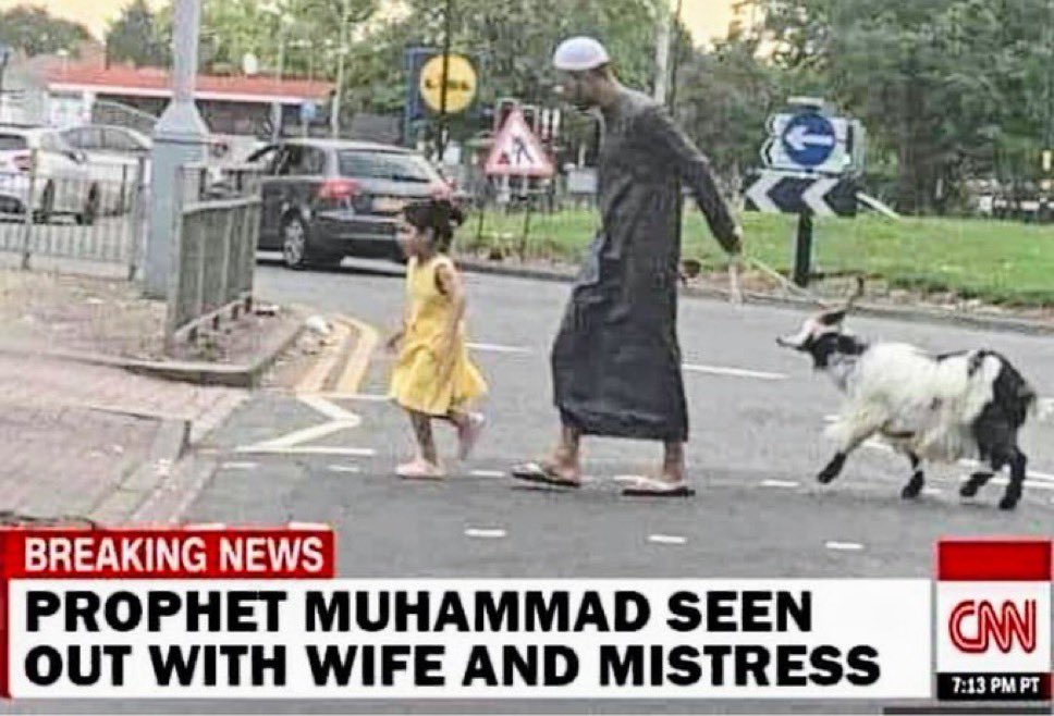 Todd Modem tweet media