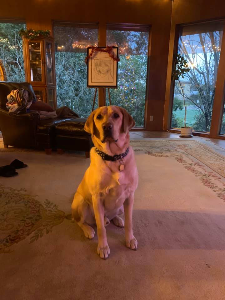 ScottieDucati tweet media