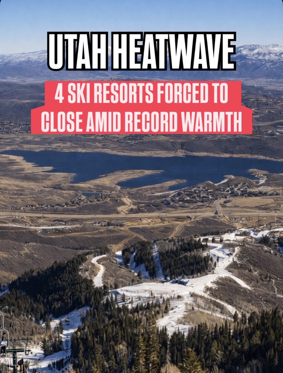 Matthew Johnson tweet media