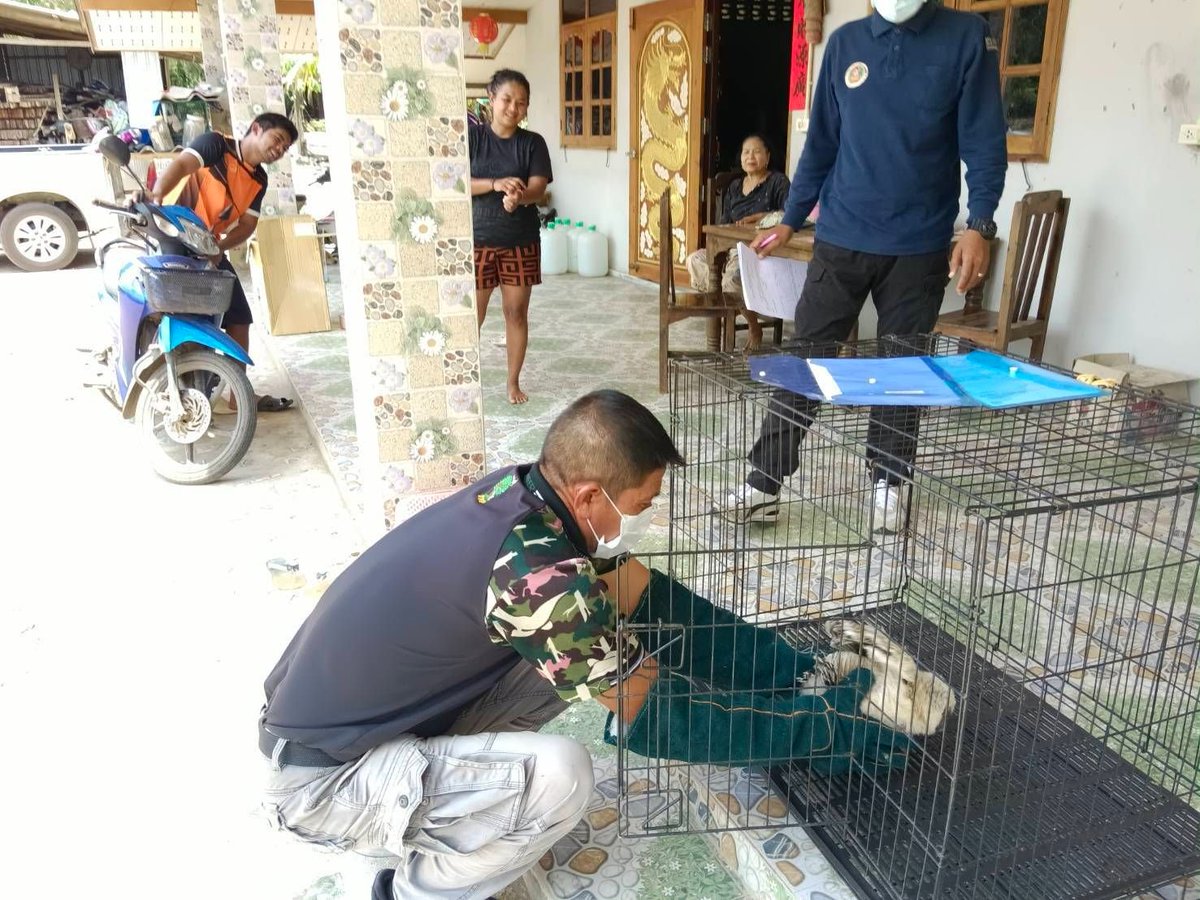 กรมอุทยานแห่งชาติ สัตว์ป่า และพันธุ์พืช tweet media