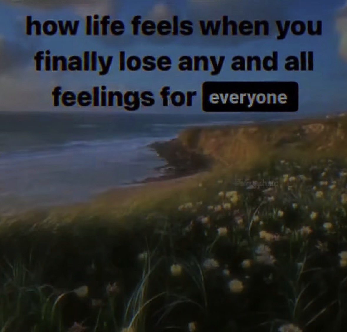 innocent🫑💫 tweet media