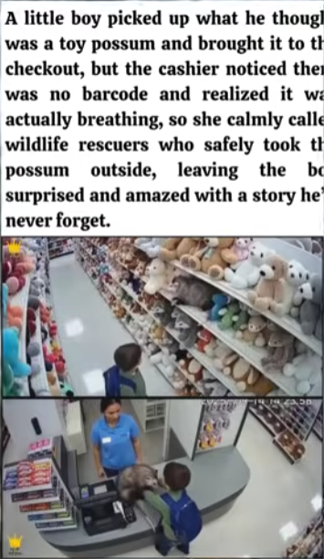 Teddybearisms tweet media