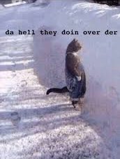 Child of SS Thomas tweet media