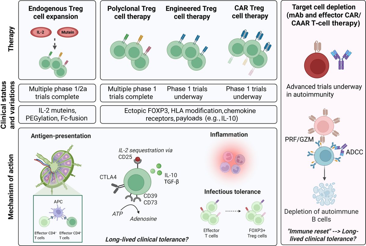 Int Society of Nephrology tweet media