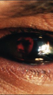 🇵🇷𝕹𝖆𝖙𝖆𝖑𝖎𝖆 𝕺𝖗𝖙𝖎𝖟⧗𝕽𝖔𝖒𝖆𝖓𝖔𝖋𝖋🌜 tweet media