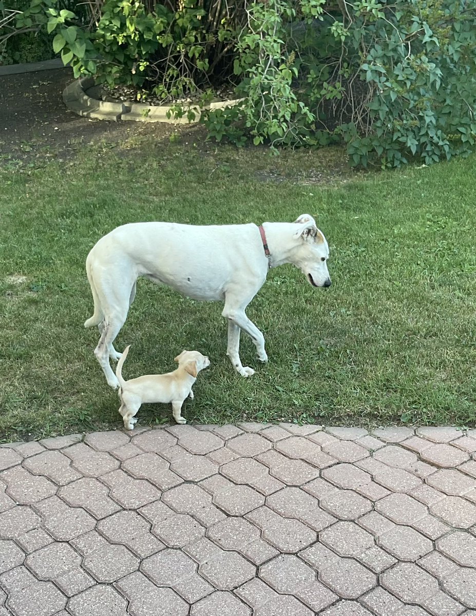 SaskLass tweet media