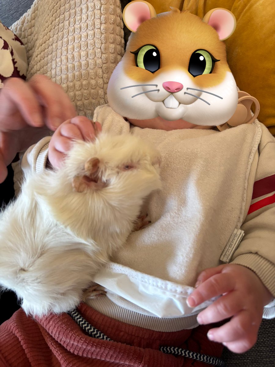 La Maison Des Chons 💪🦀 tweet media