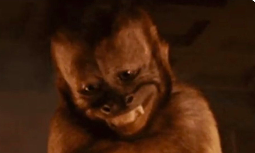 kay_pips tweet media