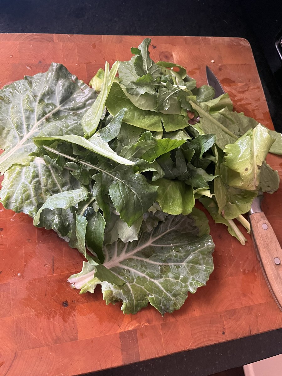 Bleed Orange and Blue tweet media