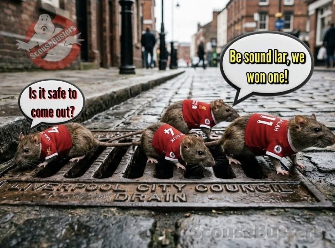 MYLES-RED-ARMY 😈❤🇾🇪🔰 tweet media