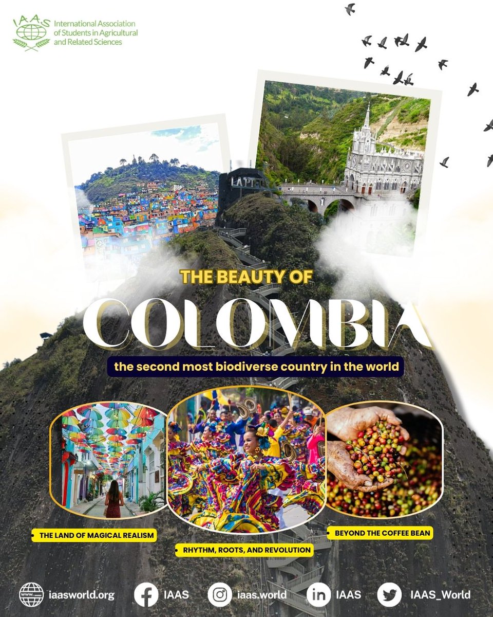 IAAS World tweet media