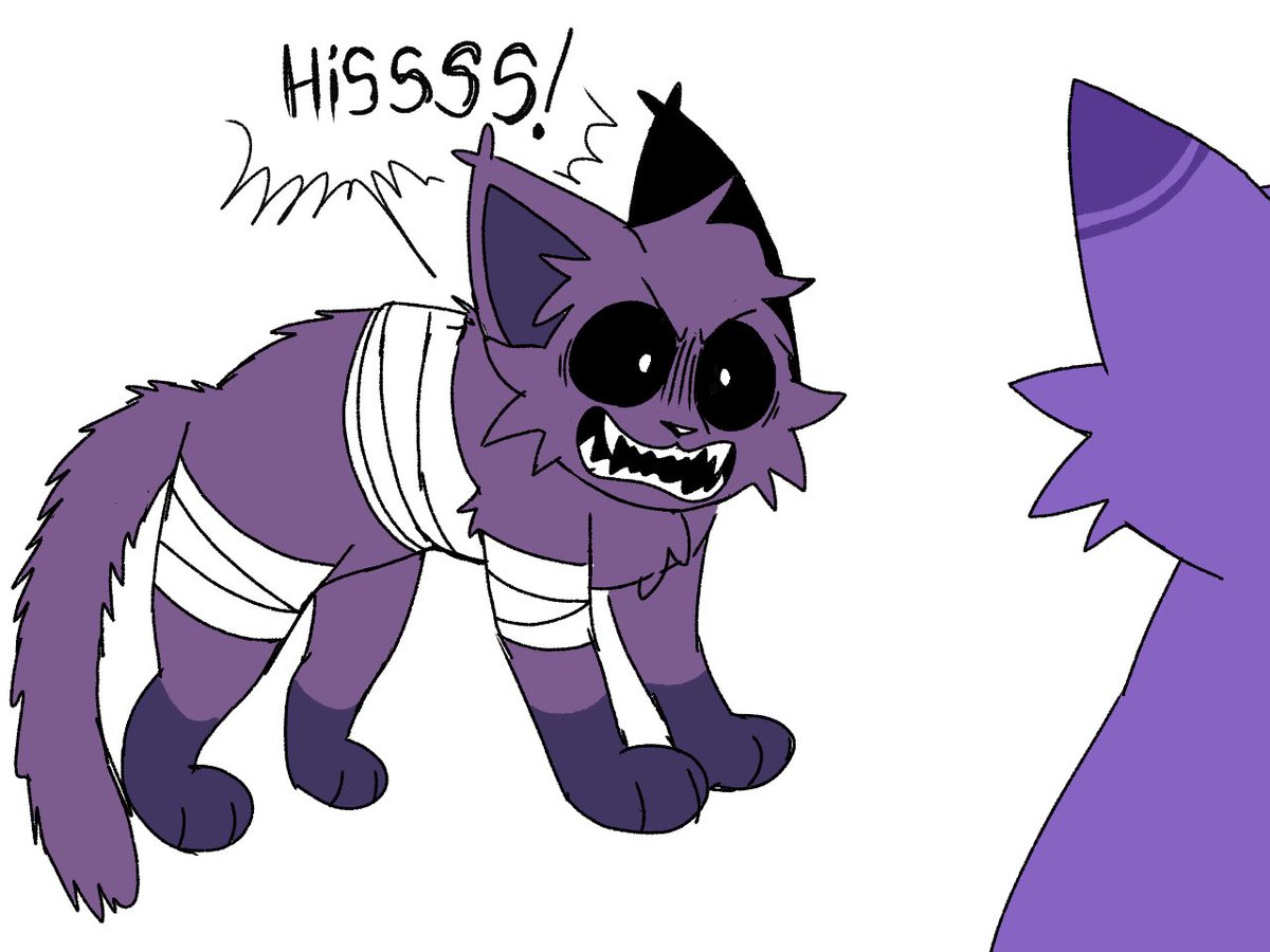 SPRINGNAP tweet media