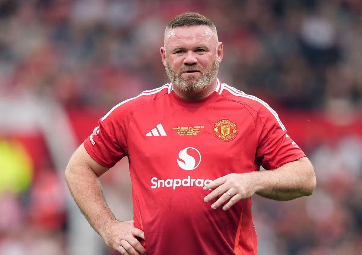 Ginga Bonito 🇧🇷 tweet media